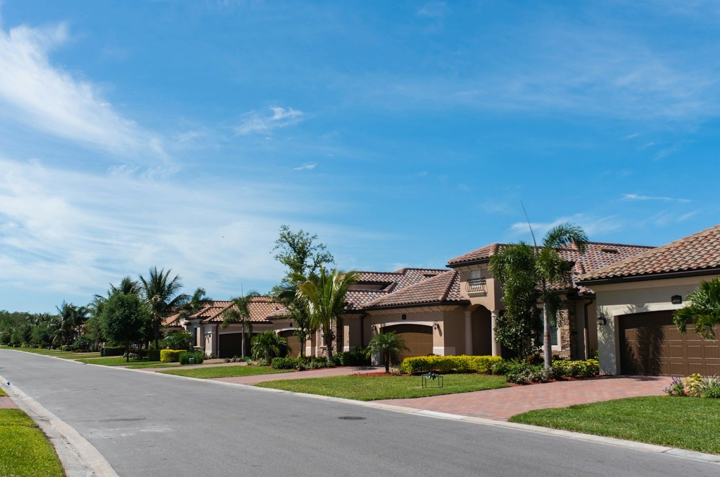 A sunny suburban street lined with kept houses