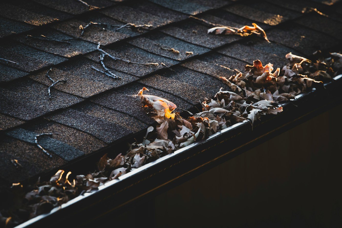 A roof gutter filled with fallen leaves and twigs